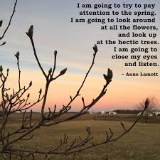 I Tried To Pay Attention But Attention Paid Me Lyrics I Am Going To Try To Pay Attention To The Spring I Am Going To Look Around At All The Flowers And Look Up At Th Anne Lamott Quotes Anne Lamott