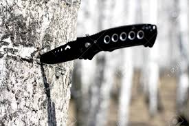 Cuchillos de combate cuchillos geniales fabricación de cuchillos cuchillos artesanales lanzando cuchillos plantillas para cuchillos lanzar cuchillos cuchillos geniales motos tatuajes joyas vikingas pistolas personalizadas herramientas ojos de naruto armas de fantasía. Cuchillo Clavado En Un Arbol Fotos Retratos Imagenes Y Fotografia De Archivo Libres De Derecho Image 28625786