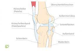 Knieschmerzen Ursachen Behandlung Onmeda De