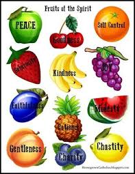 Pin By Barry White On Fruit Of The Spirit Fruit Of The Spirit Fruits Of Holy Spirit Spirit