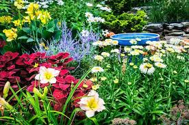 Ships in fall · great selection & price · 100% guaranteed Draw Pollinators Like Bees Birds Butterflies To Your Garden