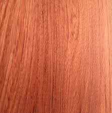 Image result for Guibourtia coleosperma