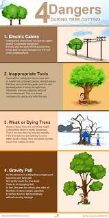 Pin On Tree Facts