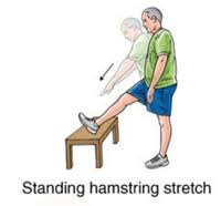 It is done in the standing position and stretches both legs at once. Hamstring Strain Exercises New York Hip Exercise