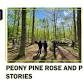 Peonies Pine Rose and Plant Stories at Walden Peak Farm