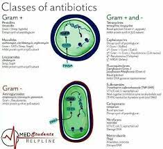 Classes Of Antibiotics Nurse Pharmacology Nursing Nursing School