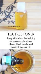 Diy Tea Tree Oil Skin Clearing Toner Guzellik