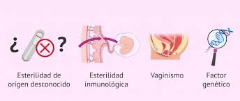 Que Causa La Esterilidad Femenina Sintomas Y Tratamientos