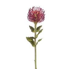 We did not find results for: Artificial Flower Protea Estefania Burgundy Red 26 65cm