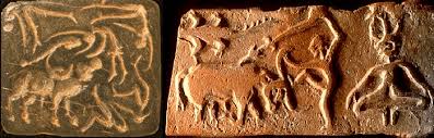 Jallikattu History Court Rulings And Controversy Clear Ias This small pouch of coins is tied onto the horns of the.