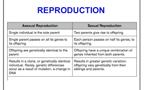 Test 3 Biology Garza Bianca Reyes 80510163 Diagram Quizlet