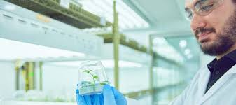 ENVIRONMENTAL SOCIAL & GOVERNANCE REPORT