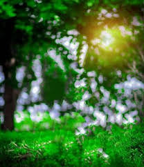 100 Picsart Background Hd Download 2020 In 2020 Picsart Background Light Background Images Love Background Images