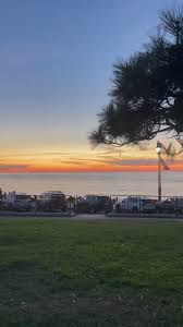 @Millard_Chochki's video Tweet