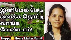 #homemade#cocopeat#gardeningtips how to make coco peat at home in tamil#terrace gardening/cocopeat வீட்டில் தயாரிக்கும். à®š à®²à®µ à®‡à®² à®² à®¤ à®® à®Ÿ à®¤ à®¤ à®Ÿ à®Ÿà®® Terrace Garden At No Cost Minimalism In Gardening Youtube