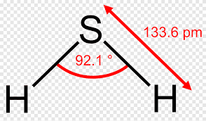 Ikatan hidrogen yaitu ikatan yang terbentuk antara hidrogen yang terikat pada atom yang bersifat elektronegatif (tapi hanya f, o, dan n saja) contohnya pada air : Hidrogen Sulfida Molekul Rumus Struktural Geometri Molekul H2s Sudut Teks Png Pngegg