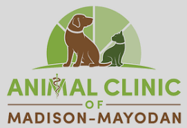 817 s madison blvd, bartlesville, ok 74006. Home Veterinarian In Madison Nc Animal Clinic Of Madison Mayodan