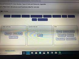 We did not find results for: Mb Bio Ch 6 Flashcards Quizlet