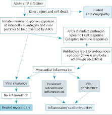 The possible pathophysiology and proposed guideline for diagnosis. Pdf Acute Viral Myocarditis Current Concepts In Diagnosis And Treatment Semantic Scholar