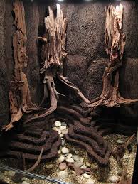 Paludarium Construction Google Search Schlangenterrarium Terrarium Ideen Terrarien