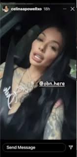 The Scammer Tricking Instagram Into Banning Influencer Accounts — ProPublica