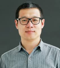 Habitat preferences rather than morphological traits affect the recovery  process of Collembola (Arthropoda, Hexapoda)