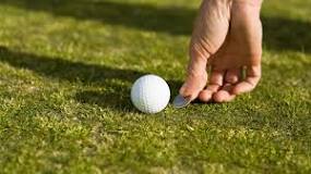 Image result for when do winter rules start in golf