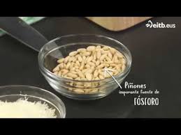 El nutrimento se almacena en el tejido del gametófito femenino que mantiene el embrión en. Sabes Para Que Son Buenos Los Pinones Youtube