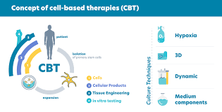 Maybe you would like to learn more about one of these? Institute Of Cell And Tissue Culture Technologies Department Of Biotechnology Dbt Boku