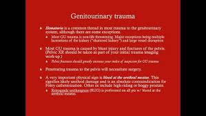 Image result for Genitourinary Trauma