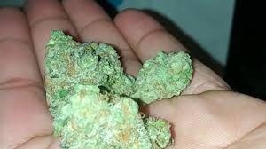 We did not find results for: Berry Pie Strain Review By Cookies Cookieswoodlandhills Berner415 Stevelobel Youtube