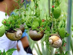 Speaking Of National Escargot Day Avas Flowers Has A Great Tip For Decorating The Outside Of Your Home Using Shells As Gartengestaltungsideen Pflanzen Garten