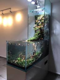 Aquascape Indonesia Aquarium Design Aquarium Fish Tank