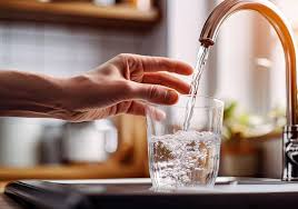 Onlyfans cibelly ferreira watch Unique onlyfans cibelly