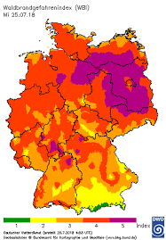 In der türkei toben aktuell schwere waldbrände. Region Waldbrande Auch Schwarzwald In Gefahr Region Land Schwarzwalder Bote