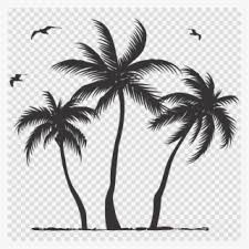 Tree silhouette coconut tree palm tree silhouette blue coconut tree coconut tree leaves coconut tree vector coconut tree poster. Coconut Tree Png Download Transparent Coconut Tree Png Images For Free Nicepng