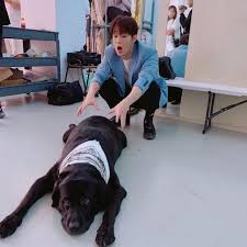 Pin By Natalie Hor On Dawon Sf9 Sf9 Sf 9 Fictional Characters