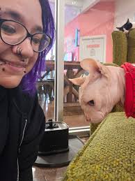 Meeting Mr. Pancakes at cat cafe