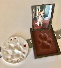 It was a high fall, so we were way too shocked by the cat's appearance to even think. Huron Oh Pet Cremation Groff Pet Loss Services