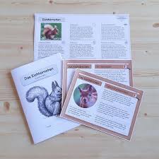 Ideenreise Blog Allerlei Material Zum Thema Eichhornchen Grundschule Ideenreise Und Leichter Lernen