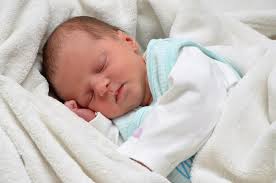 Bilder: Unsere putzigen Juli-Babys im Landkreis Rosenheim