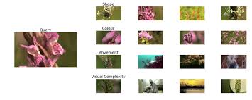 Florist in providence, rhode island. The Sensory Moving Image Archive Boosting Creative Reuse For Artistic Practice And Research