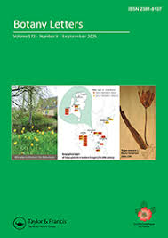 Image result for Laurembergia tetrandra