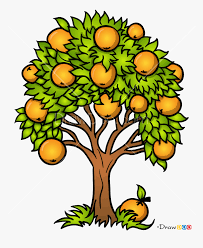 We did not find results for: How To Draw Orange Tree Learn How To Draw