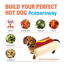Hotdog
