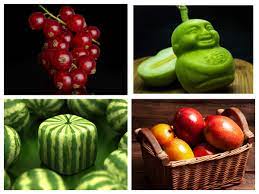 In this example, we will be buy and care for an apple tree. World S Most Expensive Fruits That Are Worth The Price The Times Of India