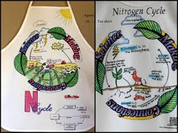 Nitrogen Cycle Project Students Will Love Fun Way To Assess Student Understanding Of The Material Nitrogen Cycle Nitrogen Diy Fish Tank