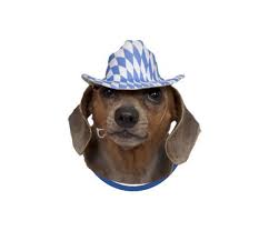 Pin On Oktoberfest Under 5