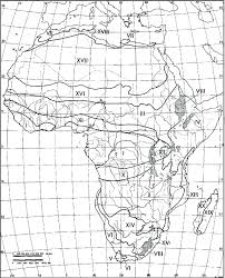 Image result for Hypoxis kilimanjarica