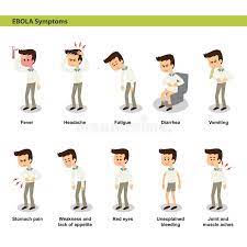 Ebola is a rare but deadly viral infection seen in central and western african countries. Ebola Symptome Vektor Abbildung Illustration Von Kopfschmerzen 65771308